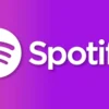 Spotify Duo