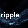 Ripple World Coin Index